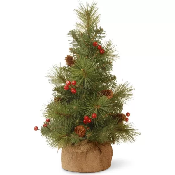 National Tree 18 Inch Everyday Collection Mini Pine Cone and Berry Tree in Burlap ED7703181National Tree 18 Inch Everyday Collection Mini Pine Cone and Berry Tree in Burlap ED7703181