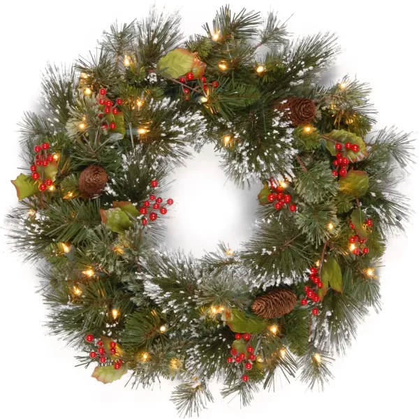 National Tree Company PreLit Artificial Christmas Garland Green Crestwood Spruce White Lights Decorated with Pine Cones Berry Clusters Plug In Christmas Collection 9 FeetPlug In Tree  Wreaths 24 Inches