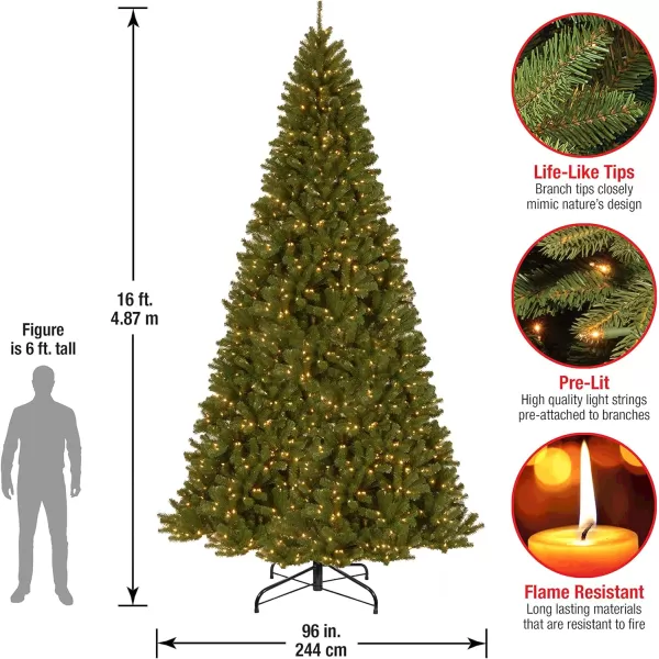 National Tree Company PreLit Artificial Giant Christmas Tree Green North Valley Spruce White Lights Includes Stand 16 Feet16 ft