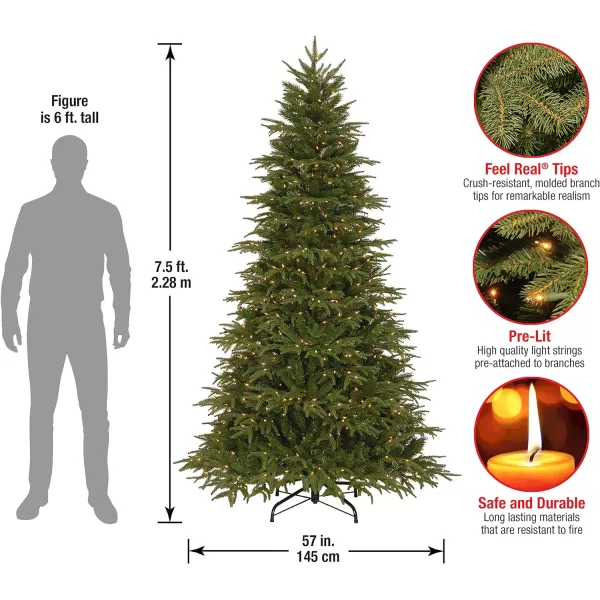 National Tree Company PreLit Feel Real Artificial Full Christmas Tree Green Northern Frasier Fir White Lights Includes Stand 75 Feet75 ft Green