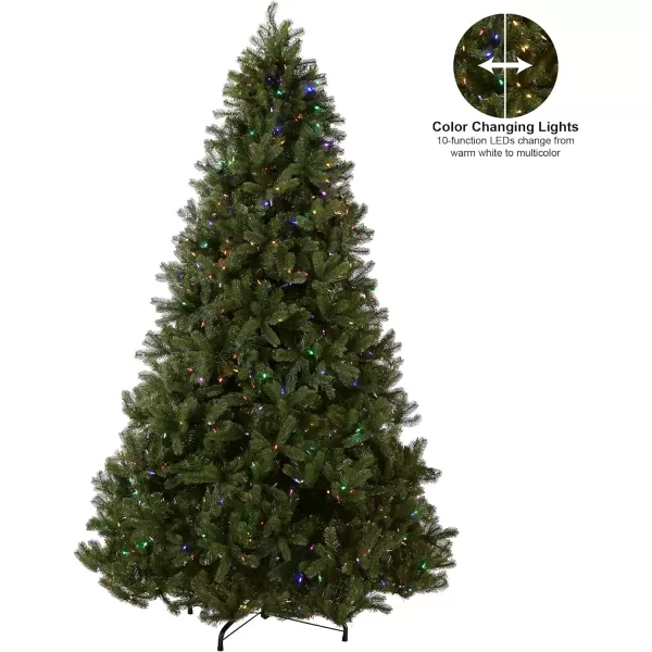 National Tree Company Prelit Feel Real Artificial Full Downswept Christmas Tree Green Douglas Fir Dual Color LED Lights Includes Stand 9 feet9 ft Christmas Tree