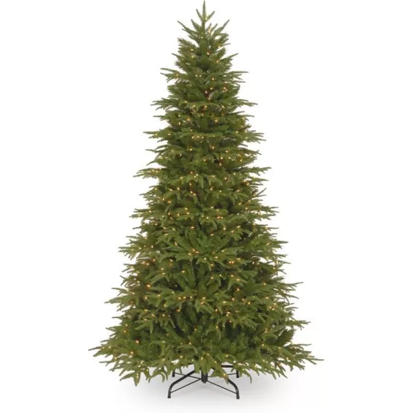 National Tree Company PreLit Feel Real Artificial Full Christmas Tree Green Northern Frasier Fir White Lights Includes Stand 75 Feet75 ft Green