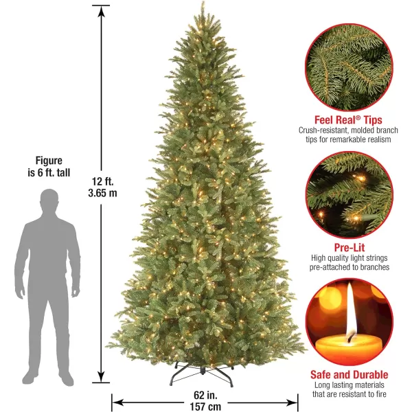 National Tree Company PreLit Artificial Giant Slim Christmas Tree Green Tiffany Fir White Lights Includes Stand 12 Feet12 ft