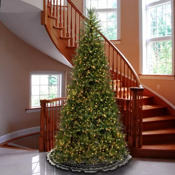 National Tree Company PreLit Artificial Slim Christmas Tree Green Dunhill Fir White Lights Includes Stand 12 Feet12 ft