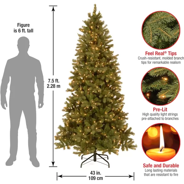 National Tree Company PreLit Feel Real Artificial Christmas Garland Green Liberty Pine White Lights Decorated With Pine Cones Frosted Branches Plug In Christmas Collection 9 Feet75 ft