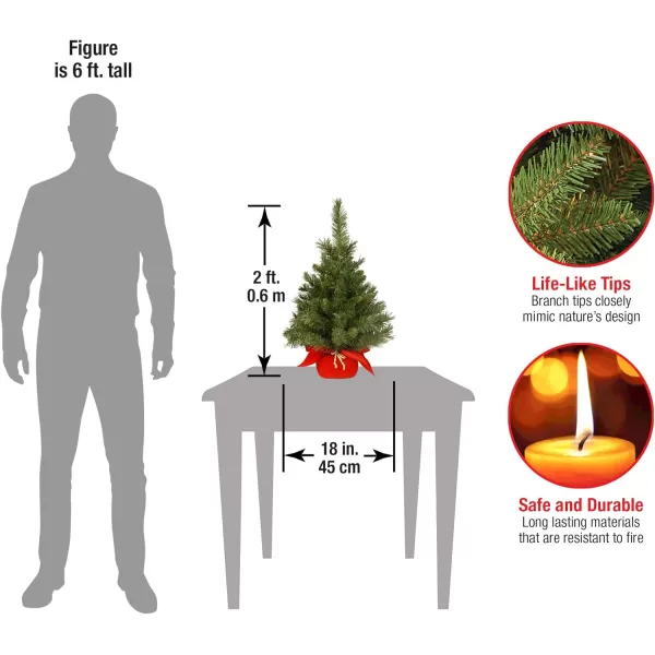 National Tree Company Prelit Artificial Mini Christmas Tree  Includes MultiColor LED Lights and Cloth Bag Base  Majestic Fir  2 ftUnlit