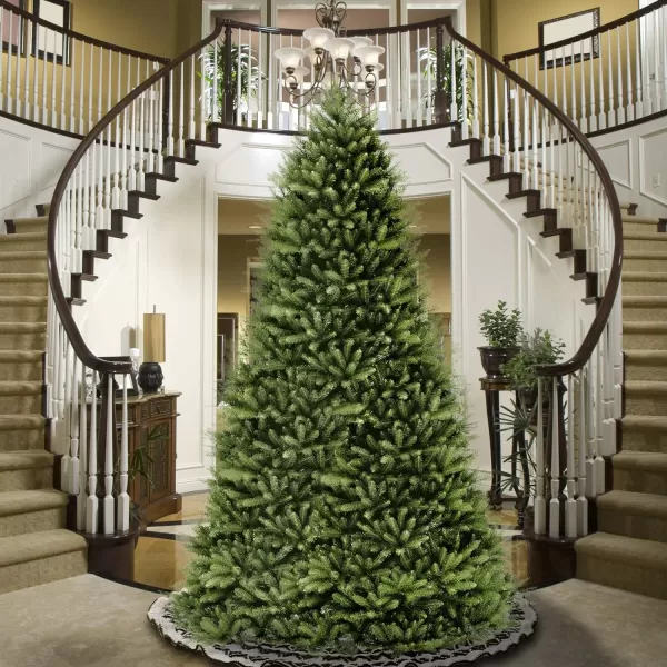 National Tree Company Artificial Full Christmas Tree Green Dunhill Fir Includes Stand 12 Feet14 ft