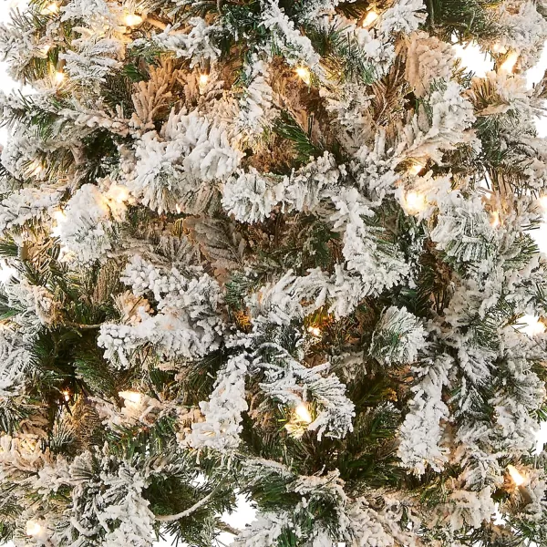 National Tree Company First Traditions PreLit Acacia Flocked Tree Medium Christmas Tree Clear Incandescent Lights Plug in 45 ft6 feet