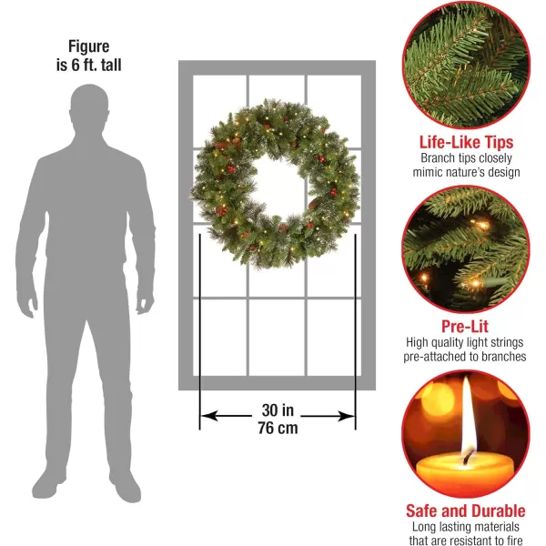 National Tree Company PreLit Artificial Christmas Wreath Green Crestwood Spruce White Lights Decorated with Pine Cones Berry Clusters Christmas Collection 24 Inches30 inch Battery Operated