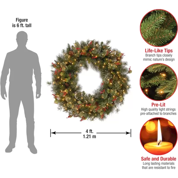 National Tree Company PreLit Artificial Christmas Wreath Green Wintry Pine White Lights Decorated with Pine Cones Berry Clusters Frosted Branches Christmas Collection 60 Inches48 in Wreath