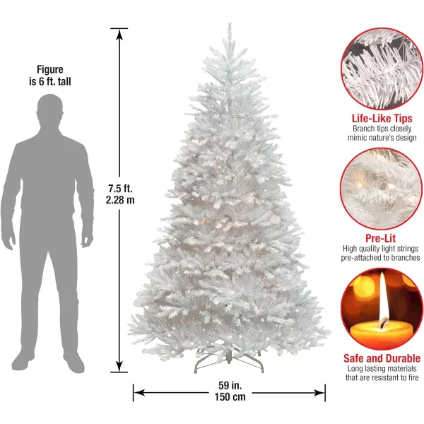 National Tree Company PreLit Artificial Full Christmas Tree White Dunhill Fir White Lights Includes Stand 9 Feet75 ft