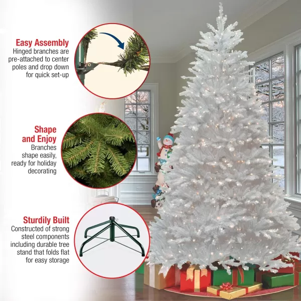 National Tree Company PreLit Artificial Full Christmas Tree White Dunhill Fir White Lights Includes Stand 9 Feet75 ft