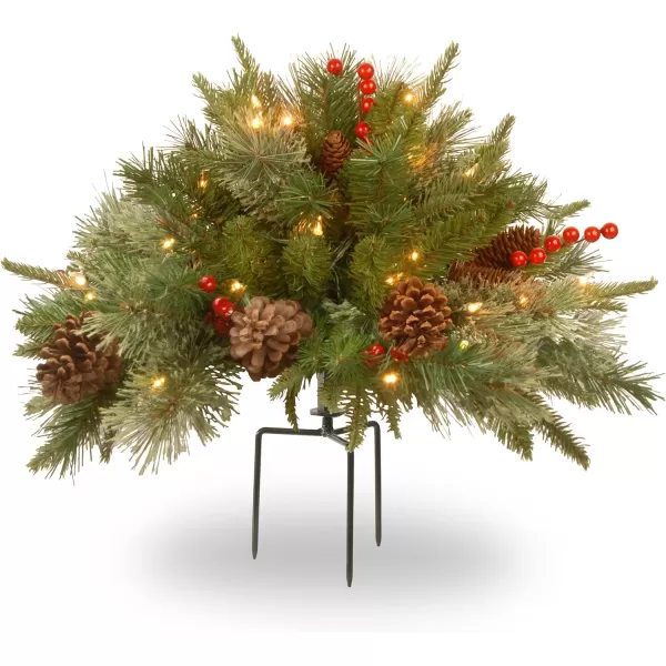 National Tree Company PreLit Artificial Hanging Basket  Decorated With Frosted Pine Cones Berry Clusters White LED Lights Christmas Collection 20 InchesTrees  Prelit Artificial Tree