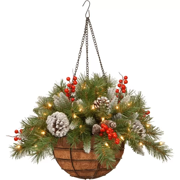 National Tree Company PreLit Artificial Hanging Basket  Decorated With Frosted Pine Cones Berry Clusters White LED Lights Christmas Collection 20 InchesTrees  Prelit Artificial Tree