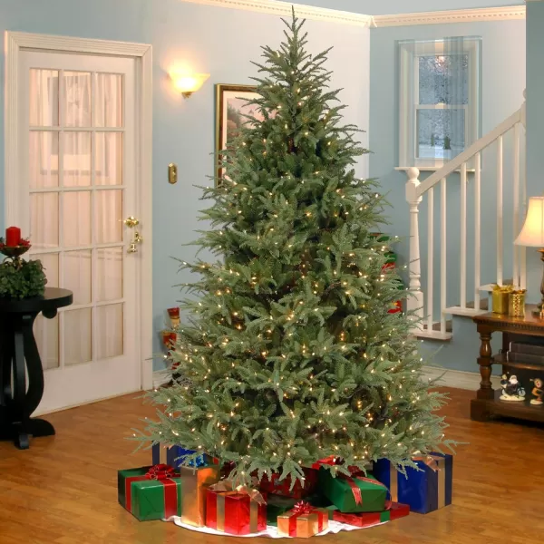 National Tree Company PreLit Feel Real Artificial Slim Christmas Tree Green Frasier Grande White Lights Includes Stand 9 Feet9 ft