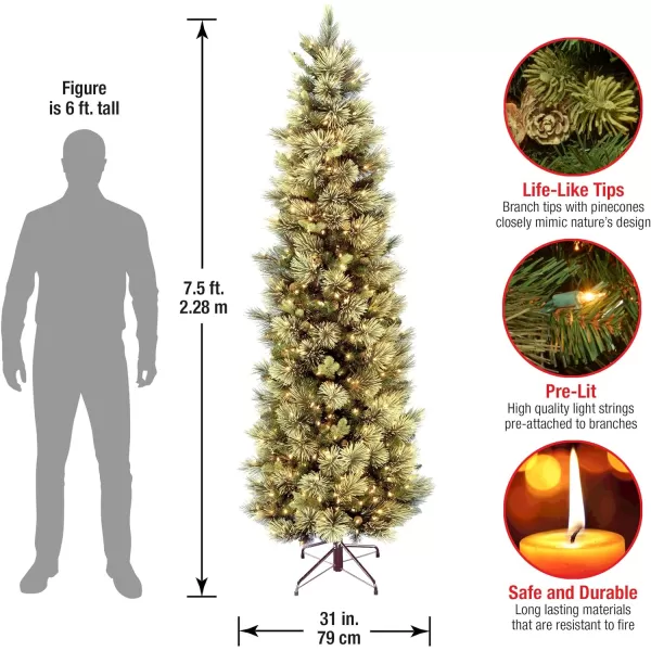 National Tree Company Prelit Artificial Christmas Tree  Includes Prestrung White Lights and Stand  Carolina Pine Slim  75 ft GreenNational Tree Company Prelit Artificial Christmas Tree  Includes Prestrung White Lights and Stand  Carolina Pine Slim  75 ft Green