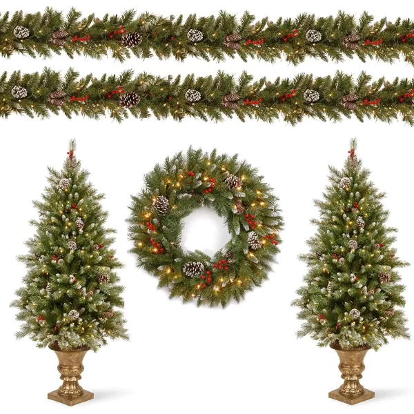 National Tree Company Prelit Holiday Christmas 5Piece Set  Wreath Set of 2 Entrance Trees and Garlands with White LightsWreaths  Crestwood Spruce  24 inch