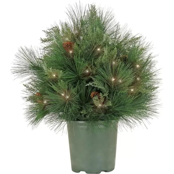 HGTV Home Collection Pre Lit Artificial Christmas Shrub Planter Filler Mixed Branch Tips Decorated with Pinecones Battery Powered 26 InchesHGTV Home Collection Pre Lit Artificial Christmas Shrub Planter Filler Mixed Branch Tips Decorated with Pinecones Battery Powered 26 Inches