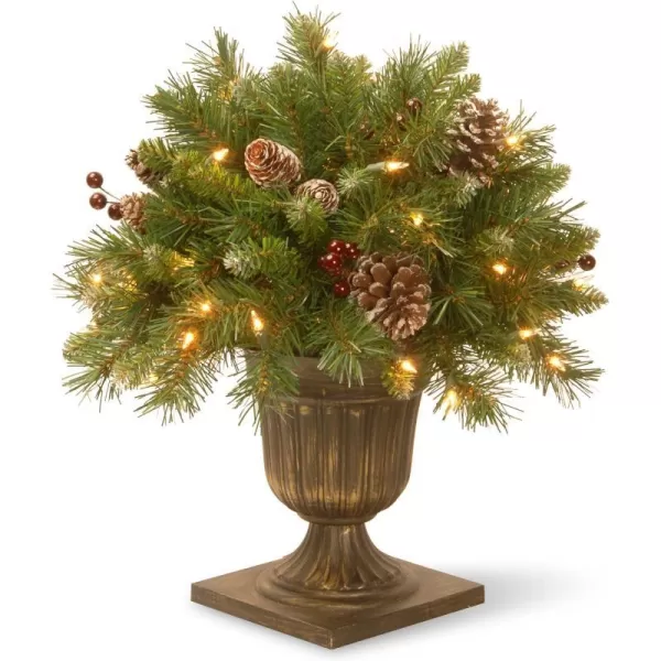 National Tree 18 Inch Frosted Berry Porch Bush with Red Berries Cones and 50 Clear Lights in Dark Bronze Urn FRB318PLONational Tree 18 Inch Frosted Berry Porch Bush with Red Berries Cones and 50 Clear Lights in Dark Bronze Urn FRB318PLO