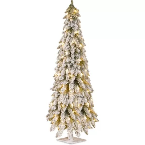 National Tree 60 Inch Snowy Downswept Forestree with 200 Clear Lights on a Metal Plate Stand FTDF160ALONational Tree 60 Inch Snowy Downswept Forestree with 200 Clear Lights on a Metal Plate Stand FTDF160ALO