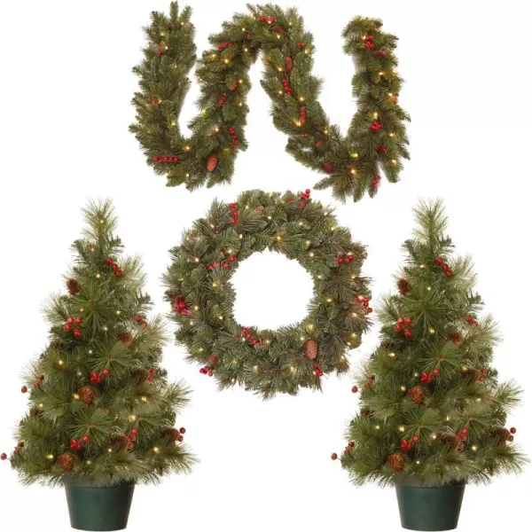 National Tree Company National Prelit White LED Lights Holiday Christmas 4Piece Set  Garland Wreath and Set of 2 Entrance Trees No Size GreenSet