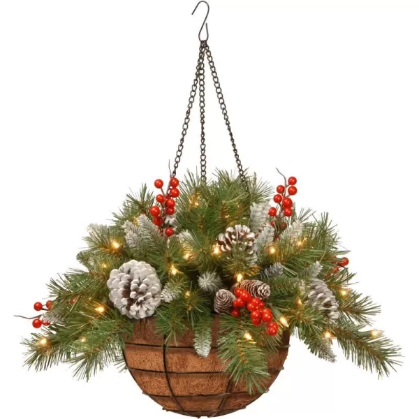 National Tree Company PreLit Artificial Hanging Basket  Decorated With Frosted Pine Cones Berry Clusters White LED Lights Christmas Collection 20 InchesTrees