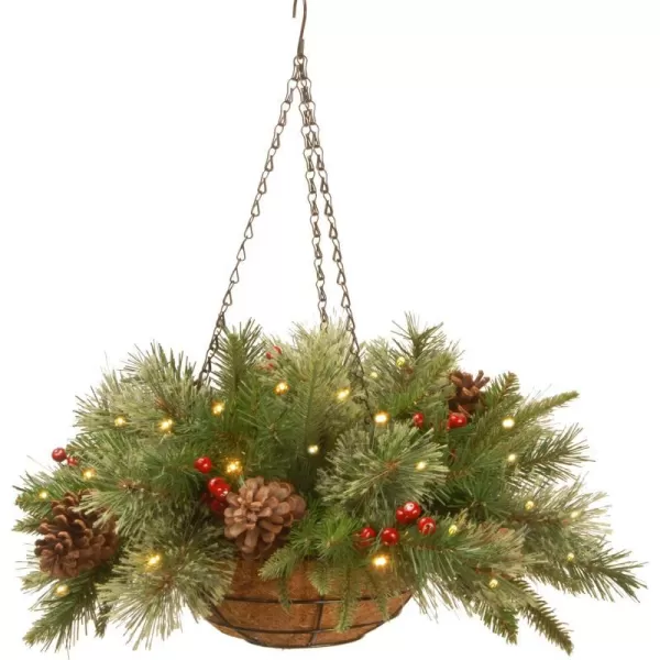 National Tree Company PreLit Feel Real Artificial Christmas Hanging Basket Colonial Decorated With Frosted Pine Cones Berry Clusters White Lights Christmas Collection 20 InchesBasket