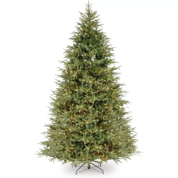 National Tree Company PreLit Feel Real Artificial Slim Christmas Tree Green Frasier Grande White Lights Includes Stand 9 Feet9 ft