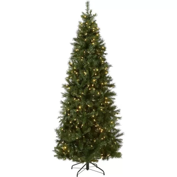 National Tree Company Prelit Artificial Christmas Tree  Includes Prestrung MultiColor LED Lights and Stand  Lehigh Valley Pine Slim  75 ftNational Tree Company Prelit Artificial Christmas Tree  Includes Prestrung MultiColor LED Lights and Stand  Lehigh Valley Pine Slim  75 ft