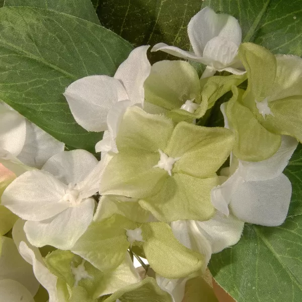 National Tree 24 Inch Floral Wreath with Cream Hydrangea Flowers GAHB3024WC