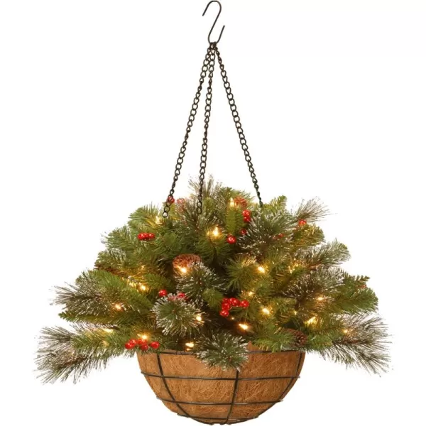 imageNational Tree Company PreLit Artificial Christmas Hanging Basket Crestwood Spruce Decorated With Frosted Pine Cones Berry Clusters White Lights Christmas Collection 16 Inches