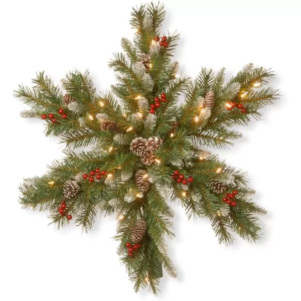 imageNational Tree Company PreLit Artificial Christmas Hanging Snowflake Green Frosted Berry Pine Decorated with Pine Cones Berry Clusters Frosted Branches Christmas Collection 32 Inches