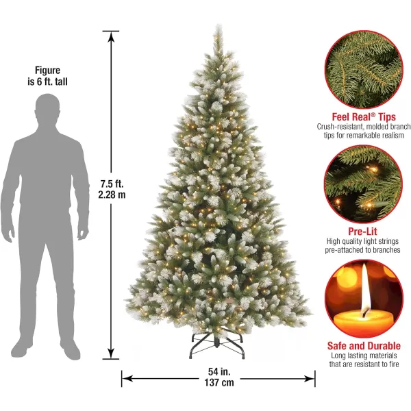 imageNational Tree Company Feel Real Prelit Artificial Christmas Tree  Includes Prestrung White Lights and Stand  Frosted Alaskan Pine  75 ft