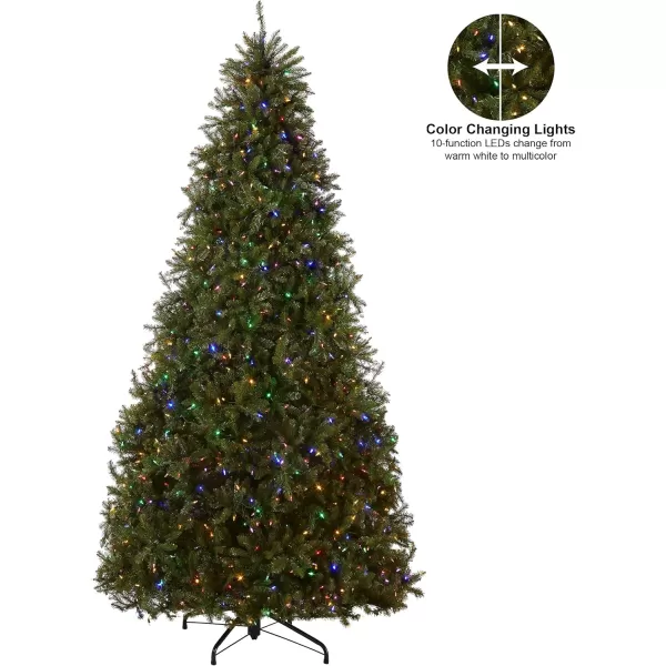 imageNational Tree Company PreLit Artificial Full Christmas Tree Green Dunhill Fir Dual Color LED Lights Includes PowerConnect and Stand 12 Feet10 ft