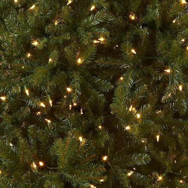 imageNational Tree Company PreLit Artificial Full Christmas Tree Green Dunhill Fir Dual Color LED Lights Includes PowerConnect and Stand 12 Feet10 ft