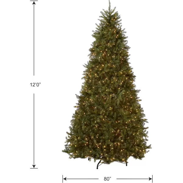 imageNational Tree Company PreLit Artificial Full Christmas Tree Green Dunhill Fir White Lights Includes Stand 12 Feet