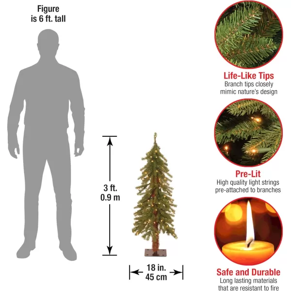 imageNational Tree Company Prelit Artificial Christmas Tree  Includes Prestrung White Lights  Hickory Cedar  3 ft3 ft