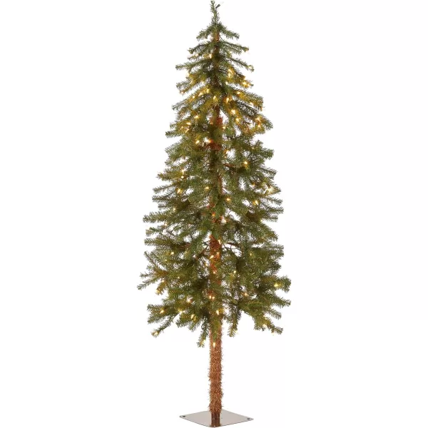 imageNational Tree Company Prelit Artificial Christmas Tree  Includes Prestrung White Lights  Hickory Cedar  3 ft5 ft