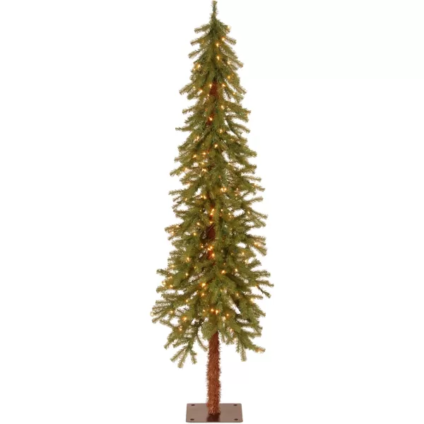 imageNational Tree Company Prelit Artificial Christmas Tree  Includes Prestrung White Lights  Hickory Cedar  3 ft5 ft