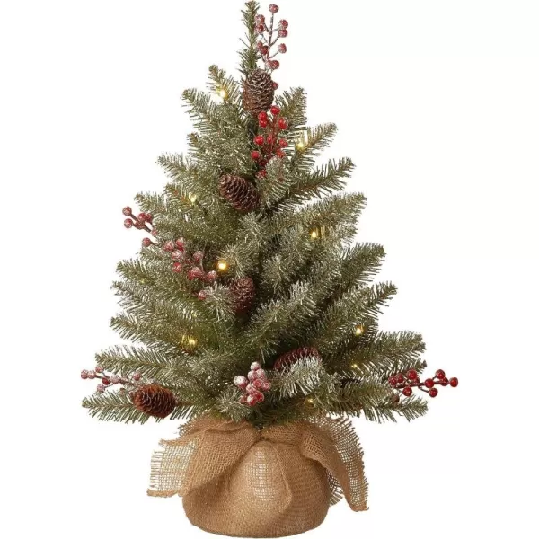 imageNational Tree Company PreLit Artificial Mini Christmas Tree Green Dunhill Fir White Lights Decorated with Pine Cones Berry Clusters Frosted Branches Includes Cloth Bag Base 2 Feet