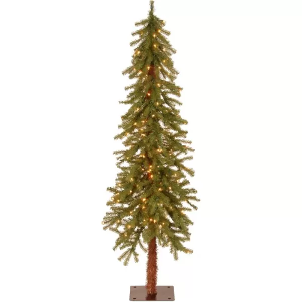 imageNational Tree Company Prelit Artificial Christmas Tree  Includes Prestrung White Lights  Hickory Cedar  3 ft6 ft