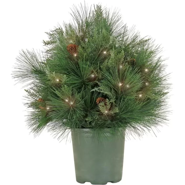 imageHGTV Home Collection Pre Lit Artificial Christmas Shrub Planter Filler Mixed Branch Tips Decorated with Pinecones Battery Powered 26 Inches