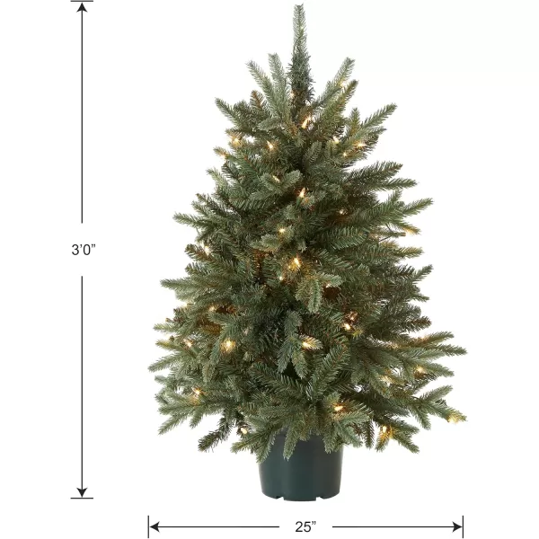 imageNational Tree Company Artificial Christmas Tree For Entrances  Includes White Lights and Pot  Everyday Collections  3 ft