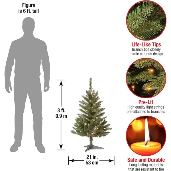 imageNational Tree Company Artificial Mini Christmas Tree Green Kingswood Fir Includes Stand 3 FeetTree