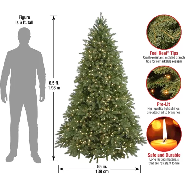 imageNational Tree Company Feel Real Prelit Artificial Christmas Tree  Includes Prestrung White Lights and Stand  Jersey Fraser Fir  65 ft65 ft