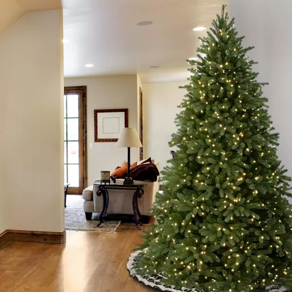 imageNational Tree Company Feel Real Prelit Artificial Christmas Tree  Includes Prestrung White Lights and Stand  Jersey Fraser Fir  65 ft65 ft