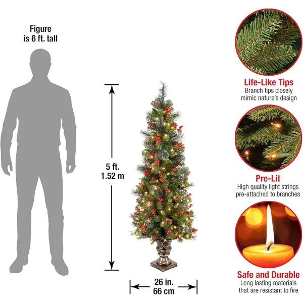 imageNational Tree Company PreLit Artificial Mini Christmas Tree Green Crestwood Spruce White Lights Decorated with Pine Cones Berry Clusters Frosted Branches Includes Pot Base 4 Feet5 ft