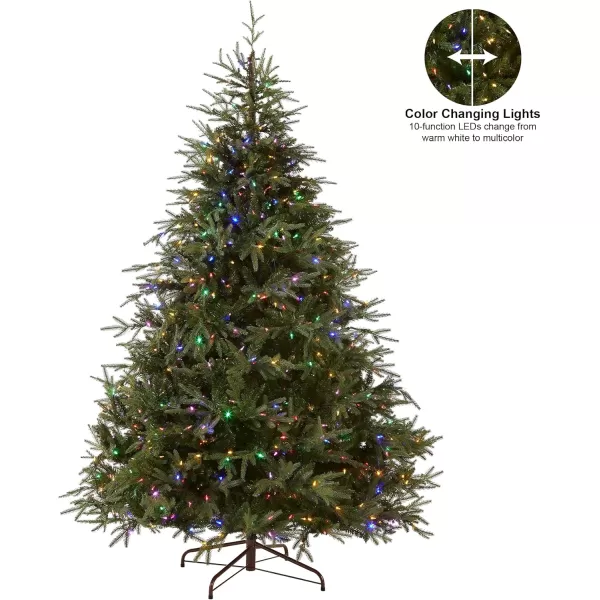 imageNational Tree Company PreLit Feel Real Artificial Full Christmas Tree Green Frasier Grande Dual Color LED Lights Includes Stand 6 Feet6 ft