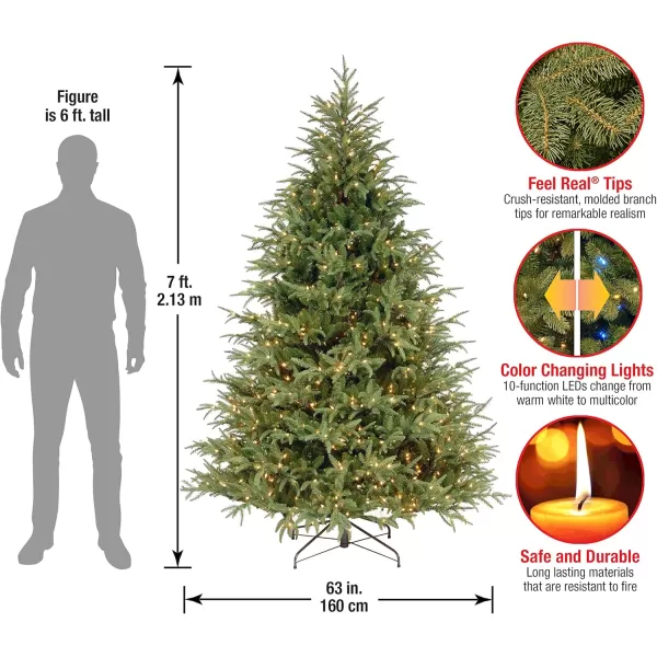 imageNational Tree Company PreLit Feel Real Artificial Full Christmas Tree Green Frasier Grande Dual Color LED Lights Includes Stand 6 Feet7 ft