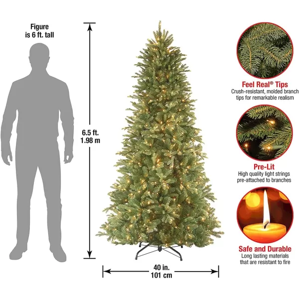 imageNational Tree Company PreLit Feel Real Artificial Slim Christmas Tree Green Tiffany Fir White Lights Includes Stand 75 Feet65FEET